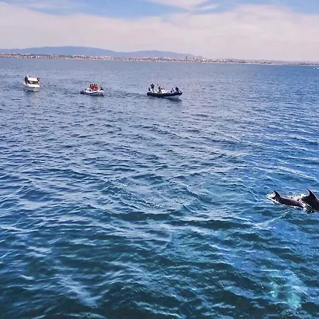 Apartamento Ipanema 3 By Algarve Vacation Albufeira