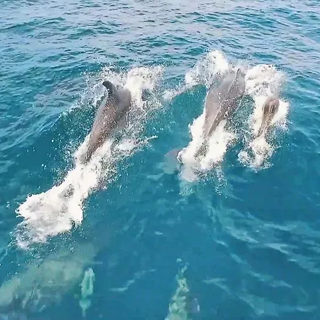 Ipanema 3 By Algarve Vacation * Albufeira